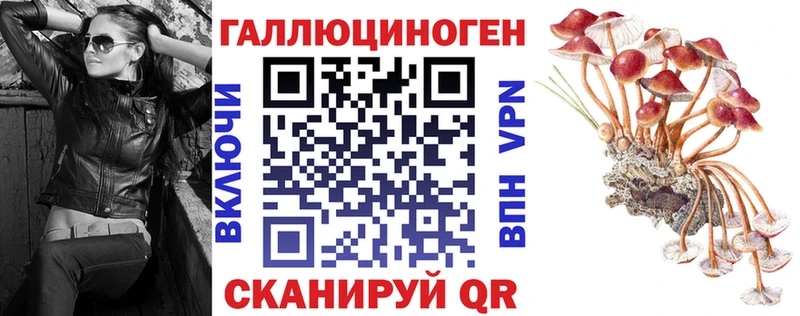 Псилоцибиновые грибы Psilocybine cubensis  MEGA tor  Миллерово 